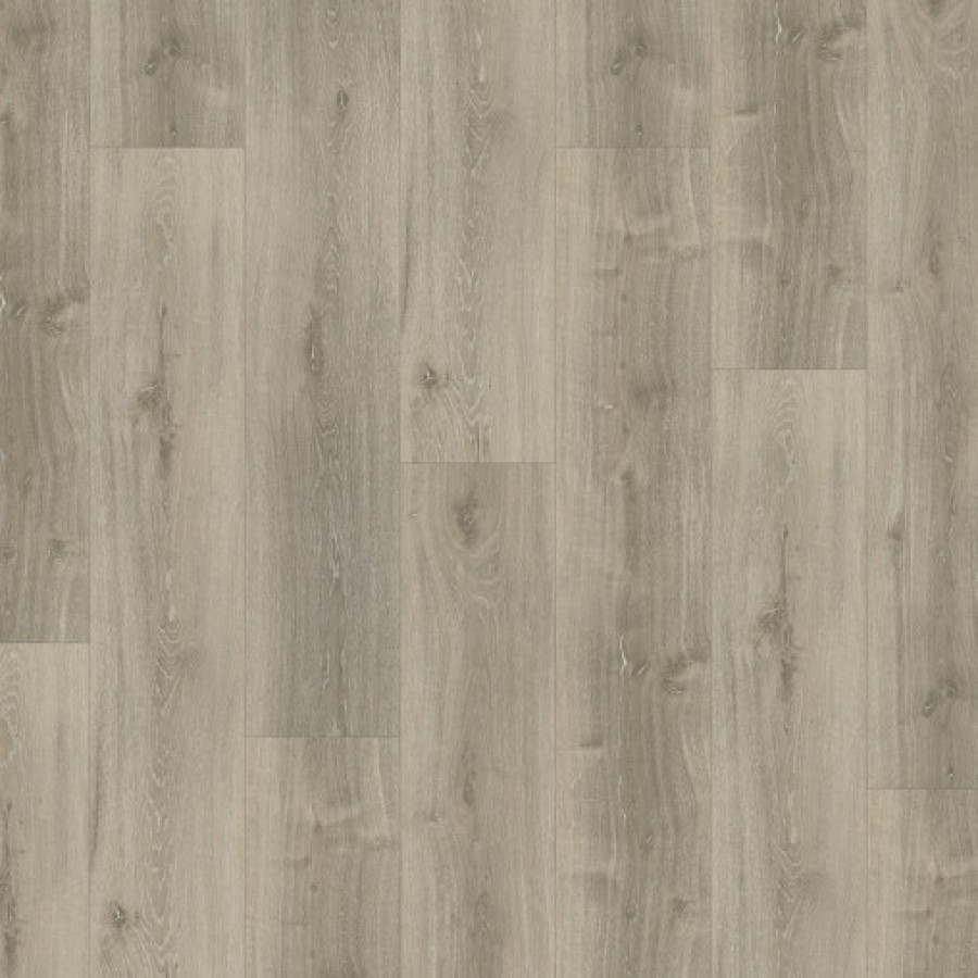 SPC ламінат Parador Basic 5.3 Oak grey whitewash 1743001 SPC ламінат Parador Basic 5.3 Oak grey whitewash 1743001